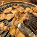 낙동생오리 이미지