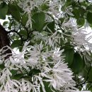 공임나라 김천모암점 이미지