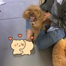 엘라 유치원 | 25년 5월 두리 일상