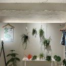 플로샤 이미지