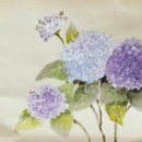 잘사는힐링연구소 이미지