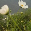 하늘내린황토민박 이미지