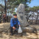 [산봉우리] &lt;산불 피해 지원을 위한 나눔 플로깅&gt; 참여 후기 / 청계산 등산 / 청계산 플로깅 / 환경정화