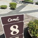 카멜무역 | 현대백화점 무역센터점 카멜커피 후기🤎 / 삼성역 카페추천☕️