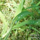 중천농장 이미지