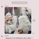 편안하댕 이미지