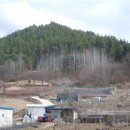 무주읍010 이미지