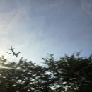 서해안조개 | [인천공항 근교 맛집] 마시안해변을 보며 먹는 조개구이 집 '서해안조개광장' 후기