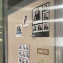 인생네컷 코스 | [리뷰] 부평 인생네컷 무드 빈티크 후기