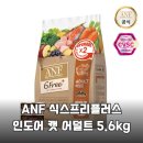 불안이 많은 아이 , 어떻게 도와 줄까? | ANF 식스프리플러스 인도어 캣 어덜트 5.6kg 솔직 후기 기호성 끝판왕 인정