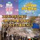 가시리 여의도점 | 2026 4월 첫째주 이번 주말 가야하는 전국 봄꽃축제 BEST 3