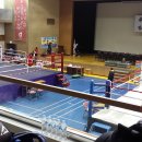 충주복싱타운 이미지