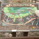 대구 4월초 서구 와룡산 진달래 군락지 다녀온 후기