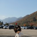 박달산 | 박달산산악회 하트핀 챌린지 예고편 ㅣ피규어 후기&amp;산행준비