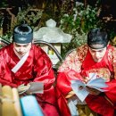 빛나냥