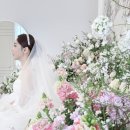 데이데이 티스토리