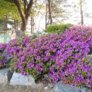 남한강변길 이미지