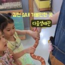 다솜생태관 이미지