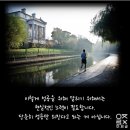 모다이노칩 이미지