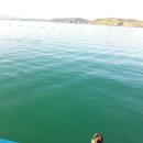 멍멍앤쿡 | [뉴질랜드 여행] 파이히아 돌고래 크루즈 러셀섬 투어 베이오브아일랜드