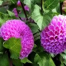 행복으로 초대 이미지