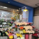 강남꽃직매장 이미지