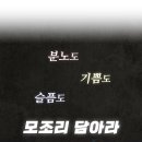 화인헤어아트 이미지