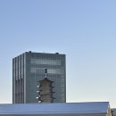 천군 | 황룡원과 벚꽃뷰가 예쁜 경주 보문단지 카페 솔직후기 : 천군복합문화공간 에브리블랙