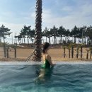 가보프라자 이미지