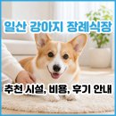 펫소풍 | 일산 강아지 장례식장 고민된다면? 일산 애견 장례 주의사항, 추천 장소, 후기 총정리