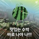 슈박 이미지