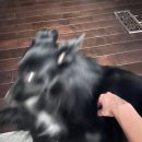 베이스먼트클로젯 | 캐나다 워홀 #9 토론토 집구하기 임시숙소 후기