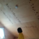 대지사슴농장 이미지