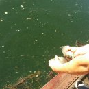 후산낚시터 이미지