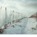 (주)지오텍시스템 이미지