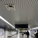 정자온누리약국 | 종로5가 약국 임신 준비 영양제 유성약국에서 채우고 온 날 (+온누리 상품권)