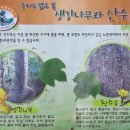 (마령)충혼불멸탑 | 설악산 금강굴