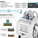 동대구에스미의원 이미지