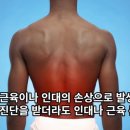 365경희길음한의원 이미지