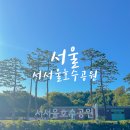 호수공원 광장분수 | 서서울호수공원 주차 분수쇼 배드민턴 데이트 산책 후기