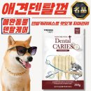 더독 - 성남시 분당구 석운로120번길 4 | 더독