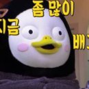 신의주부대찌개 이미지