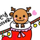 김미경 동물병원 이미지