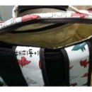 도로시 퍼피 이미지