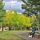 동네한바퀴 이미지