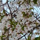 정자역 1번출구 이미지