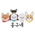 몽구네 애견유치원 이미지