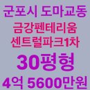 금강종합가스 | 군포시 도마교동 금강펜테리움센트럴파크1차 아파트 경매, 30평형, 4억 5600만원