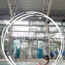 노벨리조트 | 소노벨 단양 오션플레이 후기｜운영시간·필수 준비물 총정리