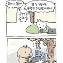 지에스25 재송재반로점 | 1월에는 무엇을 했을까요?